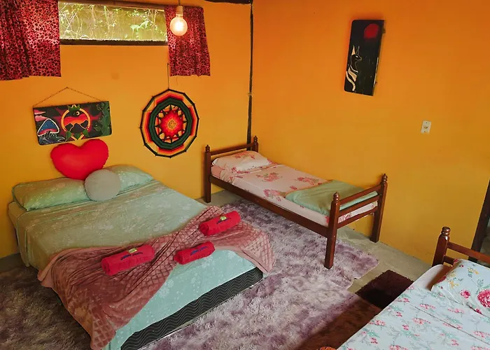 Eco Hostel Organic Life